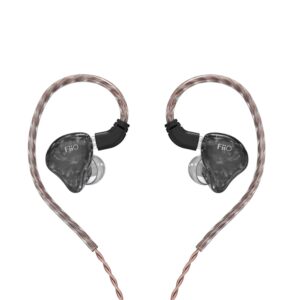 Навушники внутрішньоканальні FiiO FH1s black
