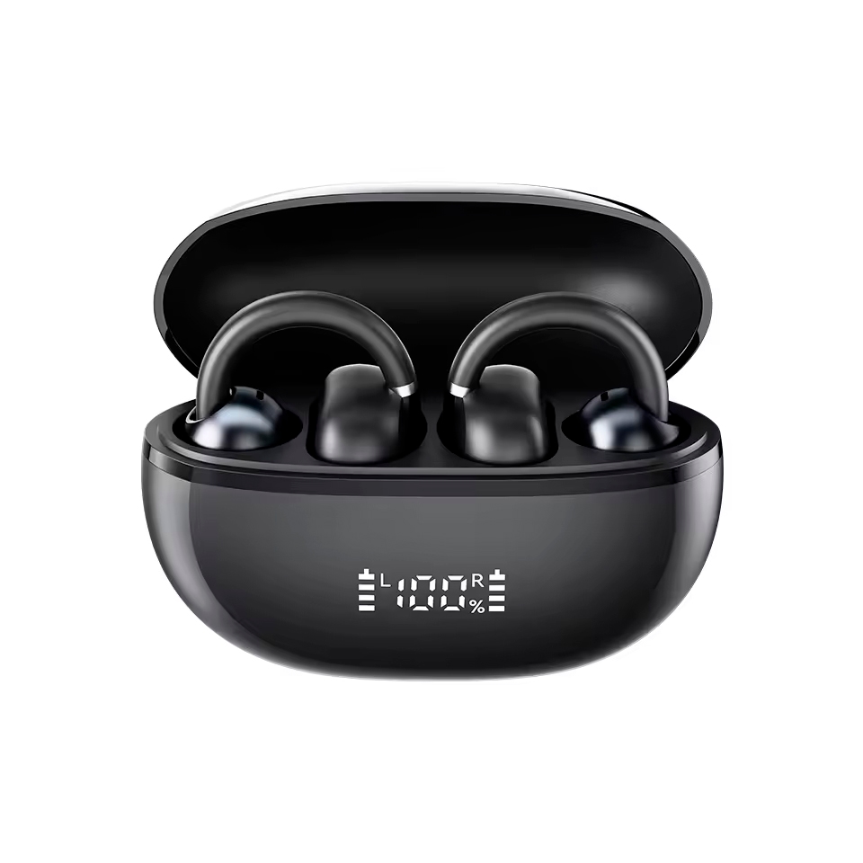 Haylou AirFree black